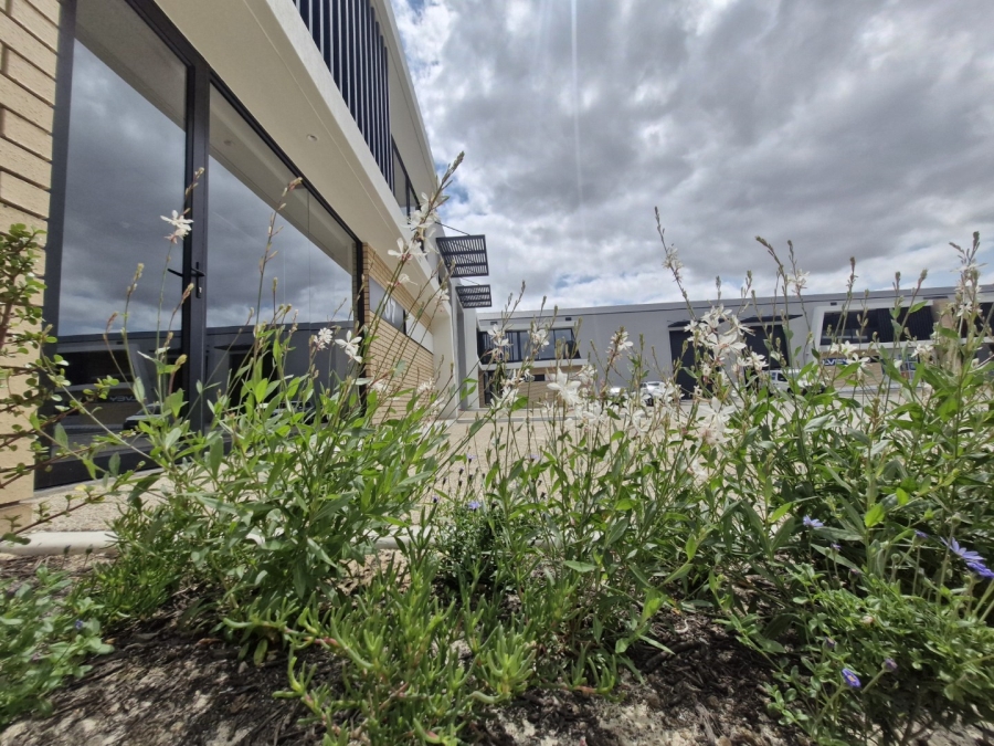 To Let commercial Property for Rent in Stikland Industrial Western Cape